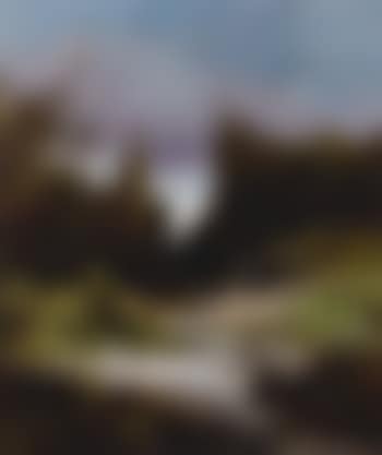 Figure in mountainous landscape (preview)