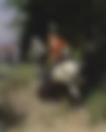 Hussars (preview)