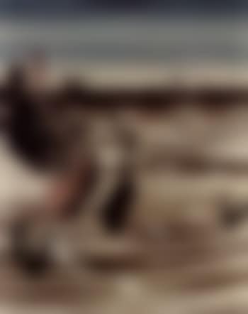 Titre inconnu (preview)