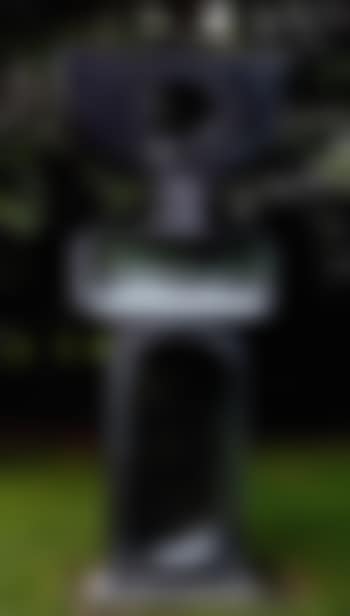 Ultimate form, family of man (preview)