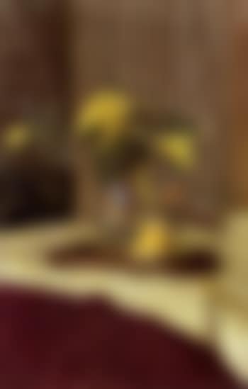 Bouquet de mimosa sur la table (preview)