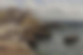 Pittenweem from harbour (preview)