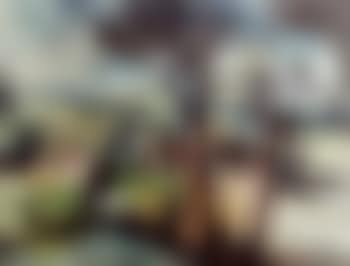 Village (preview)