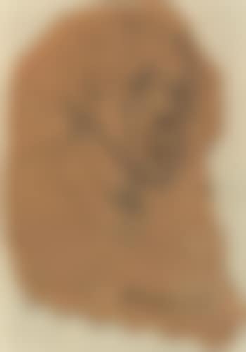 Self-portrait (preview)