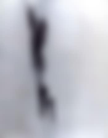 3 aout 1956 II (preview)