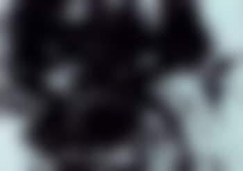 T1980-H28 (preview)