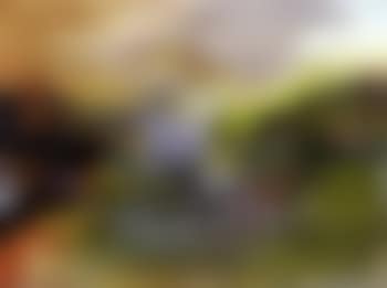 Untitled - composition (preview)