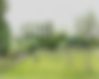 Prairie a Eragny, temps gris (preview)