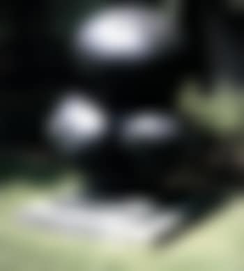 Torse (preview)
