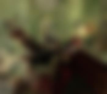 Le salon de Madame Aron (preview)