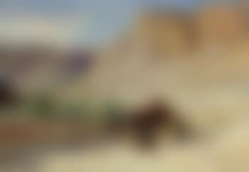 Caravane dans le desert (preview)
