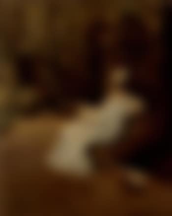Dans le parc (preview)