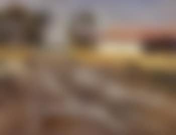 Petit mas en Camargue (preview)