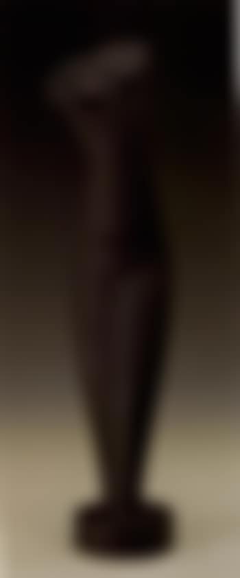 Torso (preview)