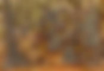 Plane trees (preview)