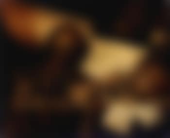 Vanitas still life (preview)