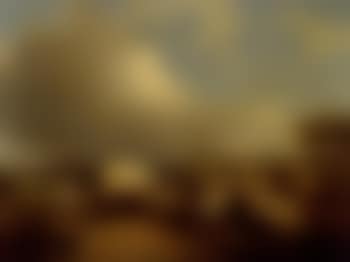 Sheep in an extensive landscape (preview)