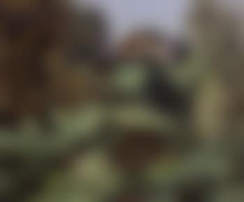 Landscape with cottage (preview)