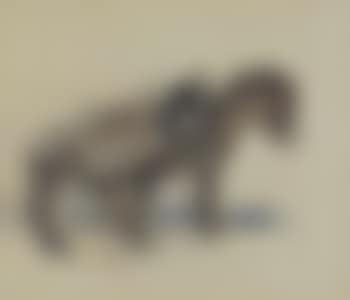 Two donkeys on beach (preview)