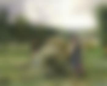 Gathering hay (preview)