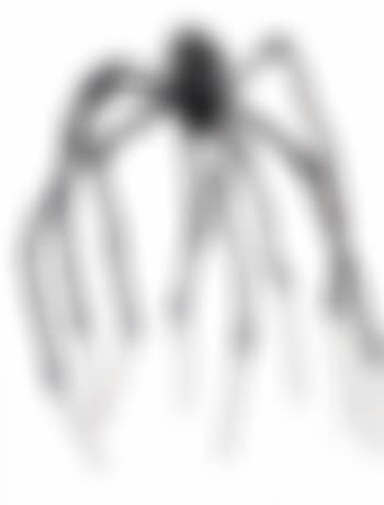 Spider (preview)