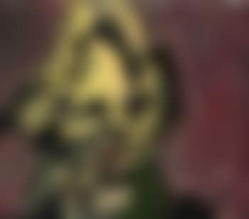 Head of Catherine Lampert II (preview)