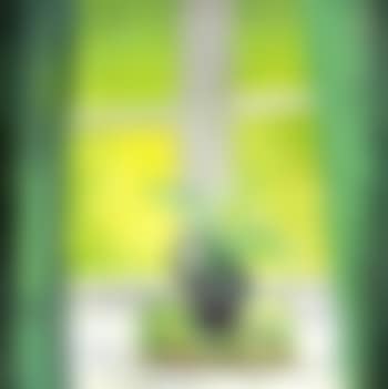 Lily of the valley, south parlour (preview)