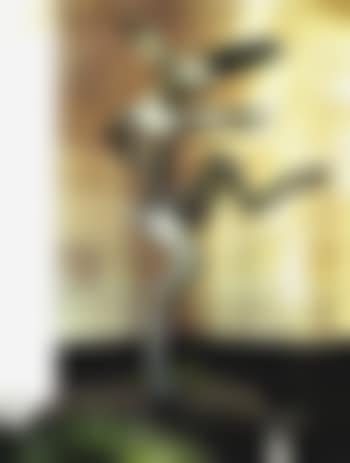 Nijinski hare (preview)