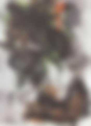 Tete volante (preview)