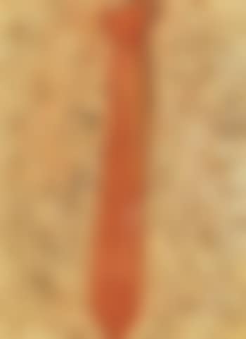Orange tie (preview)
