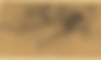 Etude d'arbres (preview)