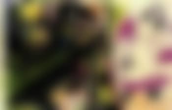 Le peintre et son modele (preview)