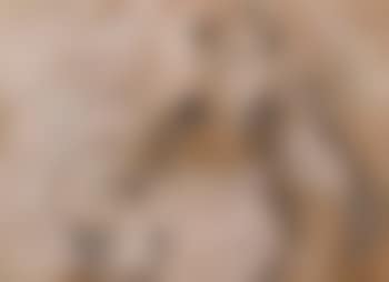 Retrato de Juanita - Portrait of Juanita (preview)