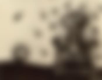 Figura - Figure (preview)