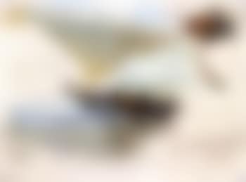 Bueyes sacando la barca - Oxen pulling the boat onto the beach (preview)