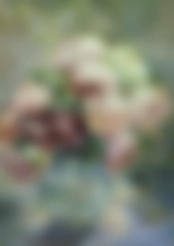 Roses (preview)