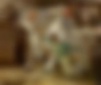Team at auction (preview)
