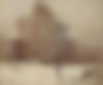 New York, white veil (preview)