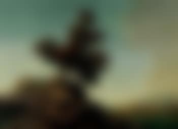 Tree on a rock (preview)