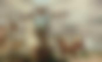 Lloyd and Barbara Wescott (preview)