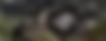 Bodegon (preview)
