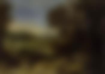 Goat herd near a wood in an extensive landscape (preview)