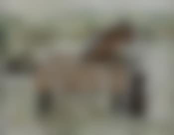 Beach cart (preview)