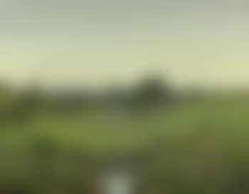 Summer meadow with stream (preview)