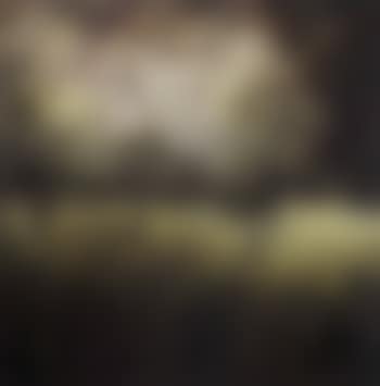 Jungle scene (preview)