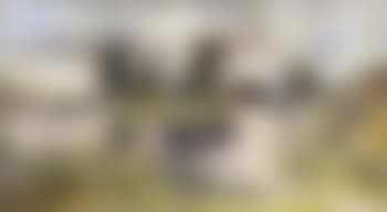 Summer landscape (preview)