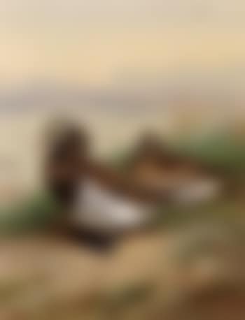 Long tailed duck, summer (preview)