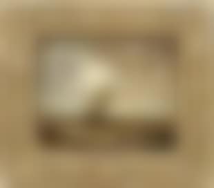 Seascape (preview)