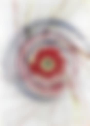 Untitled, spin painting (preview)