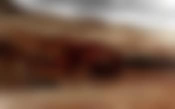 Untitled (preview)